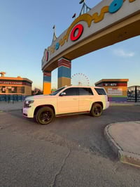 ٢٠٢٠ • ٧٠ الف كم • دبلوماسي