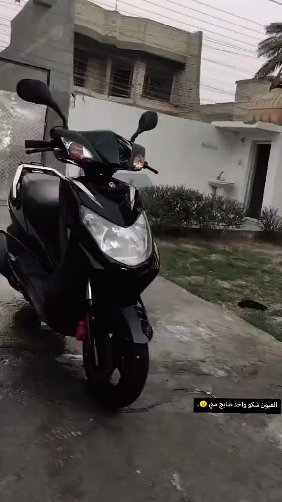 دراجه البيع سكنس فحل دراجه مكفوله نوزل رقم ***********
