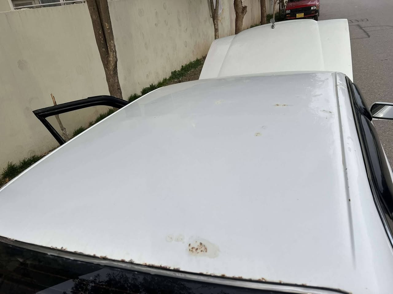 سڵاوی خوالەهەمو لایەک بۆفرۆشتن ئەرنەب ئارم بلاستیک سلیمانی مەکینەی بەتەی دونیو بڕاوەیەسەیارەکە بەتامی ساق نمونەی جوانی ئارمو گێڕو مەکینەۆ ئەکسل بەشەرد خایسی نیە زەڕبەی نیە نمونەی جوانیە ماڵی دۆستە بەس ماشەڵای ئەویت مشتەریت تیلکە مشتەریش نیت سەری خۆتومنش مەیەشین لەگەڵ ڕێزم 28$مەعملە لەکەلارم ***********👉دڵی ئادمین
