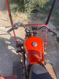 ستوته • همر • اوراق اصولية