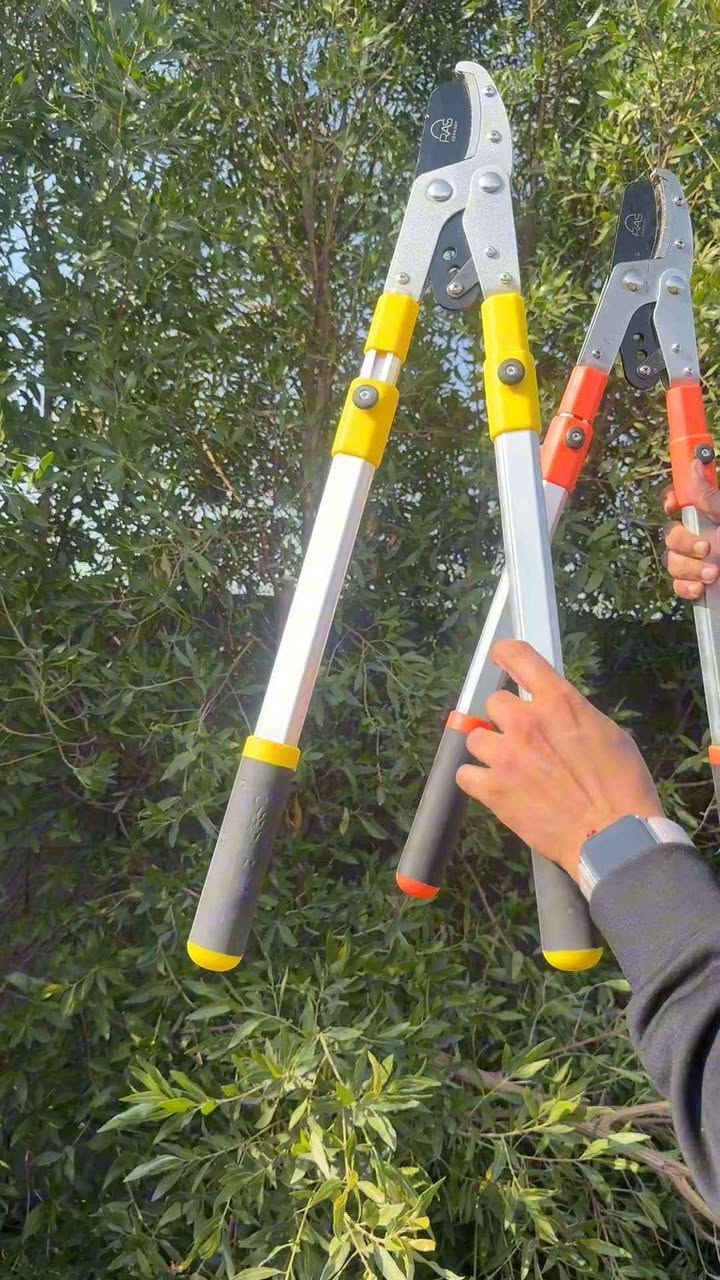 مقص قوّي أداءك في العناية بحديقتك 🌿

تصميم مريح، شفرة حادة، وهيكل قابل للتمديد ليوصل حتى الأغصان البعيدة 🍃

خفيف الوزن ويمنحك تحكم ممتاز أثناء العمل.

اختصر الجهد وخلّ الحديقة دومًا بأجمل شكل 🌳

يتوفر خدمة توصيل لكل المحافظات بغداد, العراق


**إذا كنت صاحب هذا الإعلان وتريد حذفه لأي سبب، رجاءا أرسل رسالة إلى الدعم الفني**