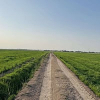 المهناوية • أرض زراعية • ٣٥-٤٠ دونم