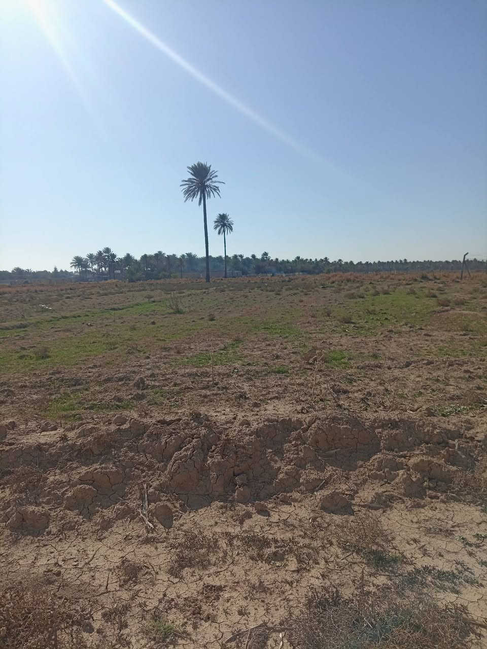 توجد دونمين لبيع ملك سند ٢٥ في ديالى هبهب السعر ٥٥ وبيهن مجال لتصال على الرقم ***********
