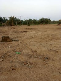 الحكيم الثانية • ٣٤٠م • ٣ قطع