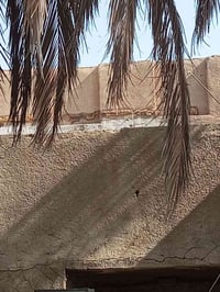 دار للبيع بناء قديم في الميكانيك تريد ترممه تريد تفلشه بسعر قطعة ارض م...