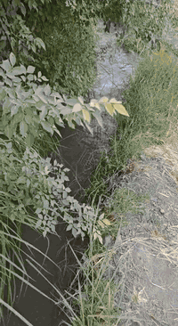 السلام عليكم 

يوجد دونم للبيع 

الموقع : ابو سديره 

واجهه40 ، نزال 62.5 

السعر / 27 

***********
للاستفسار مراجعة مكتب الجزاع
