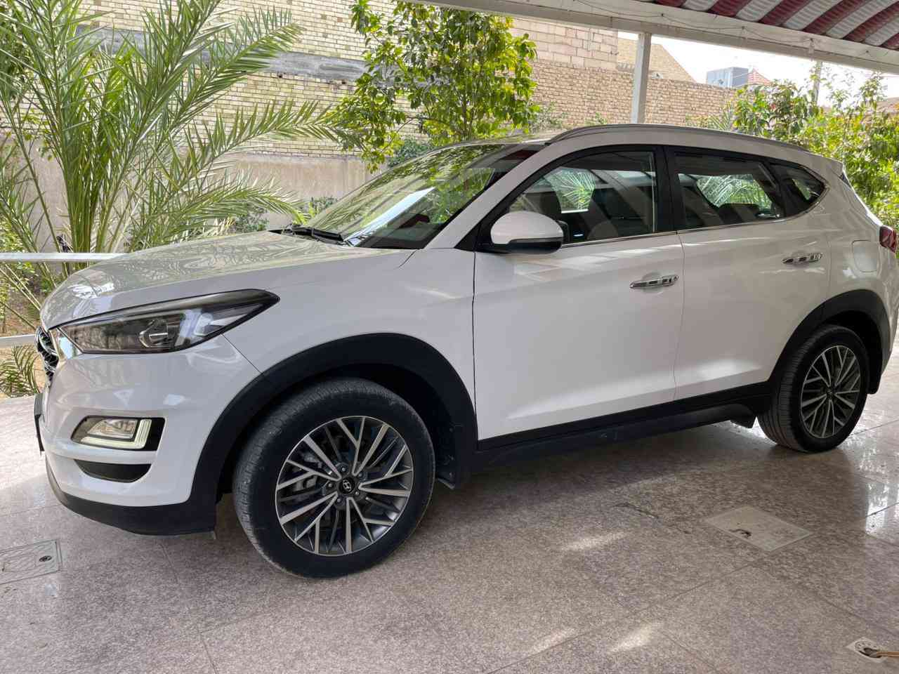 سلام عليكم توسان خليجي وكالة الكاصد ماخذهة زيرو على ايدي كفالة عامة من الظربة والصبغ رقم بغداد باسمي ماشية ١٠٠ الف  نص فول بصمتين تشغيل ويل كروم حساسات امامي خلفي كشن كهرباء شاشة كار بلي مري شفط كامرة خلفية سيارة مرتبة وحلوه وبالعافية على الياخذهة مابيهة نقص جاهزة من كلشي الشراي يتصل وبالخدمه
***********
***********
