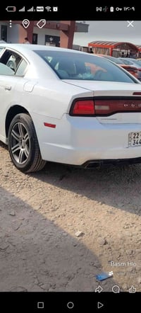 12 للبيع  غير مكفول  جاملق وبنيد شواصي مكفول رقم اربيل سنويه جديده  ال...