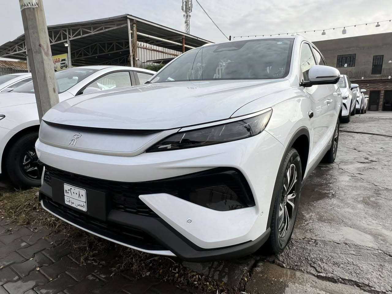 سونك برو 2025 
13 كامرة 
داخل جلد زيتوني 
كرسي كهرباء 
معرض القمة 
بغداد الكريعات 
استفسار اكثر اتصل 
***********
