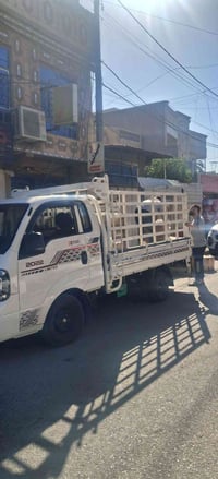 كيا للايجار داخل وخارج بغداد نقل البضائع ونقل الاثاث مع وجود كادر كامل...