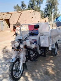 ستوته ام الطير • ٢٠٢٦ • ٢٠٠ سي سي