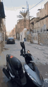 سلام عليكم دراجه ماكس عدله كله بلادي كابريتل ويا نجمه دراجه لا نضوح لا تبخير مكفوله كهربائيات كله شغال كيج سرعه كيج بانزين دراجه شلعه تاكل اكل ومعدل دراجه طيران قبق فلاوين فسفوري سعر 700وبيه مجال  مكاني المعامل الباويه رقمي ***********وبيك خير وتدلل
