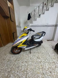 فول شلعه • معدل • نواعم