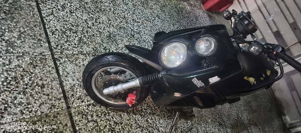 مراوس بسكنس فحل نوزل ناشفه ***********
