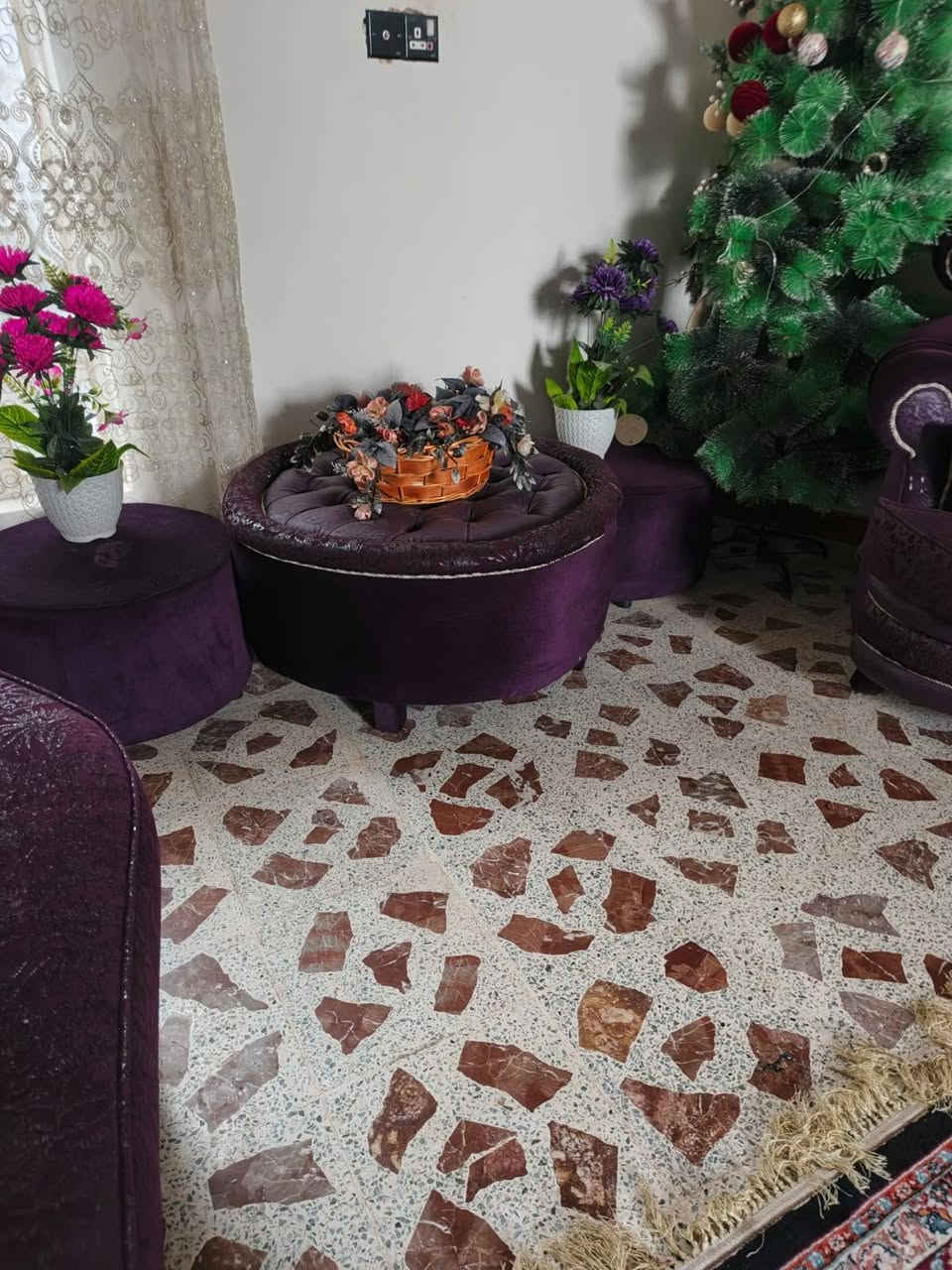 تخم نضيف سعره 350


**إذا كنت صاحب هذا الإعلان وتريد حذفه لأي سبب، رجاءا أرسل رسالة إلى الدعم الفني**