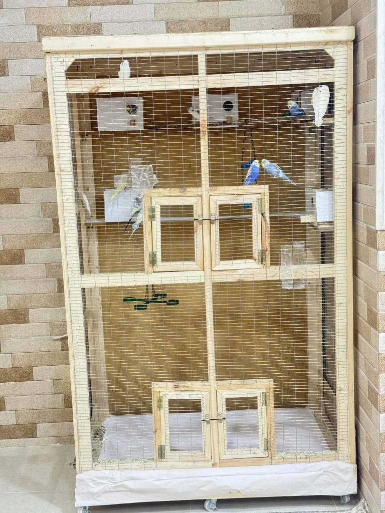 ئەم قەفەزە بۆ فرۆشتن زۆر کەم بەکار هاتوە هەمووی سکەیە دەتوانی هەڵێ بوەشێنتەوە دوبارە دروستی بکەیتەوە بەداری ڕوسی دروست کراوە بە تەلی BRC ڕو پۆش کراوە ، دەتوانی  بڕۆیتە ناو قەفەزەکەوە  بەئیسراحەت دەست کاری ناوی قەفەزەکە بکە یت ،  ژێرەیەکی تۆکمەی بۆ دروست کراوە ، نرغی 100 هەزار و مەعامەلە شوێن کلار ، ***********، ***********
