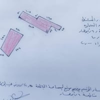 طابو زراعي • ١١ دونم ونصف • نفق طريق الخضر