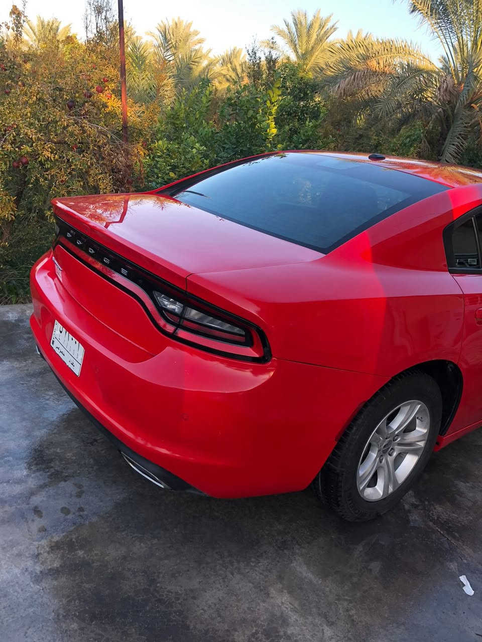 السلام  عليكم جارجر لبيع موديل2022 مواصفات SXT  فول مواصفات تبديد خلفي كشن كهرباءي. تدفيه كشنات السياره باسمي تحويل ثاني يوم شاشه كبيره تحكمات ستيرن ماشيه 32 ألف بدون صبخ وبدون بارد سياره كلين جديده السياره لاستفسار ***********
