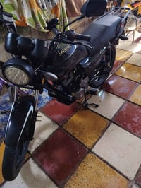 شاينك • ٢٣ • مكفولة