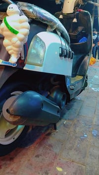 بولسي • من الوكيل • زنون