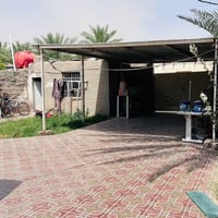 طابو زراعي • ٢٥٠م • الزبيدية واسط