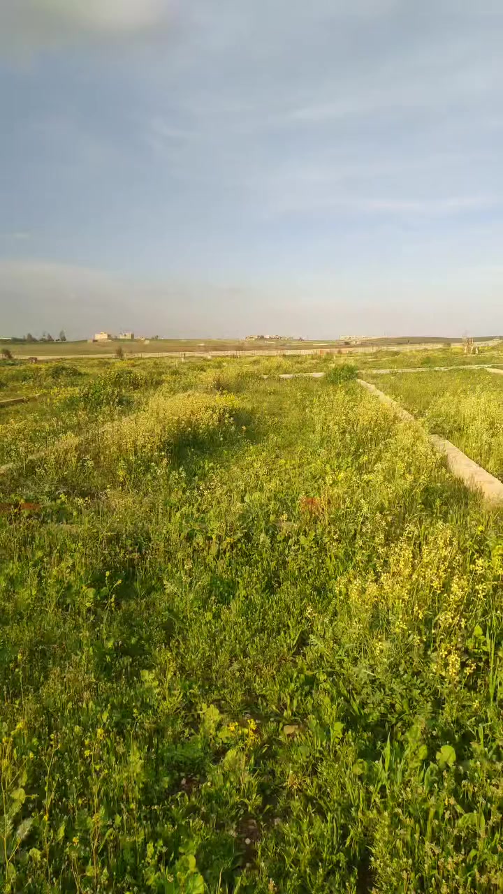 المقبرة النموذجية بعد سيطرة كركوك بالموصل


**إذا كنت صاحب هذا الإعلان وتريد حذفه لأي سبب، رجاءا أرسل رسالة إلى الدعم الفني**