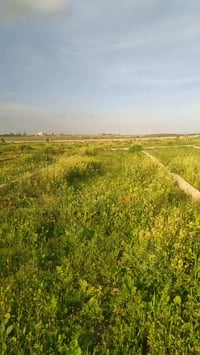 الموصل • مقبرة نموذجية • بعد سيطرة كركوك