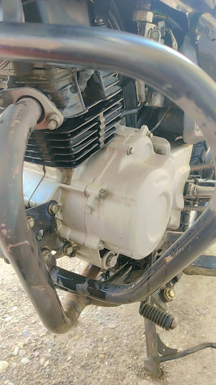 مرحبااا شباب بوكسر 22 للبيع دراجة كلش حلوةة يراد الهة ترتيب مستعجل ع بيع عندي ضرف  اوراقهة كاملة شتريد اني حاضر اكفلهة من جميع النواحي الدراجة جانت بالحجز
هية حمرة تانكيهة يرجع احمر ينكص من فلوسهة  مستعجل ع بيع بسبب ضرف الله يشهد // ادمن من رخصتك حبيبي


**إذا كنت صاحب هذا الإعلان وتريد حذفه لأي سبب، رجاءا أرسل رسالة إلى الدعم الفني**