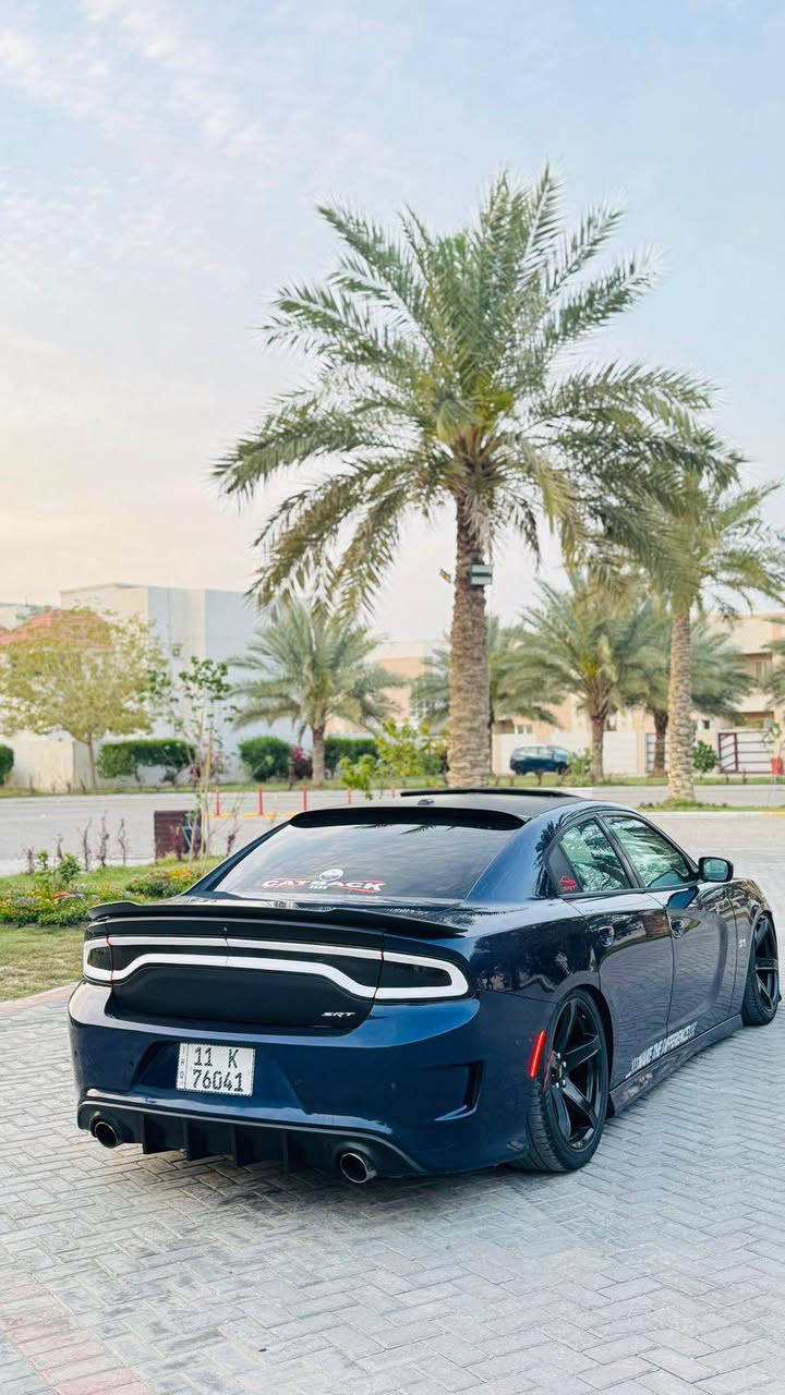 اصل SRT 6400🚀 بيع او مراوس 
2015
حادثهه فقط خشم البنيد 
بدون دواخل شواصي لغود كفاله 
🩵مواصفات🩵
اعلى مواصفات بSRT 
فتحه سقف
رادار امامي+جانبي 
كشنات حضن هيلكات
عينه حمره هيلكات
فجوج برمبو هيلكات 
اكسل قفل هيلكات 
ويل كب نجمه خسفه قويه 
شاشه كبيره +كامره دواره 
كشنات كهرباء +ستيرن كهرباء 
خزن ميموري +حساسات خلفيه بلكات ولف حماوه ريسنك 
كاج كان +شوته afe 
برمجه مصطفى ايكل 
دبات سود كت أوف +طلقات 🔥
كير مكينه كفاله 
رقم بغداد ب اسمي تحويل ثاني يوم
*********** بعقوبة, ديالى
