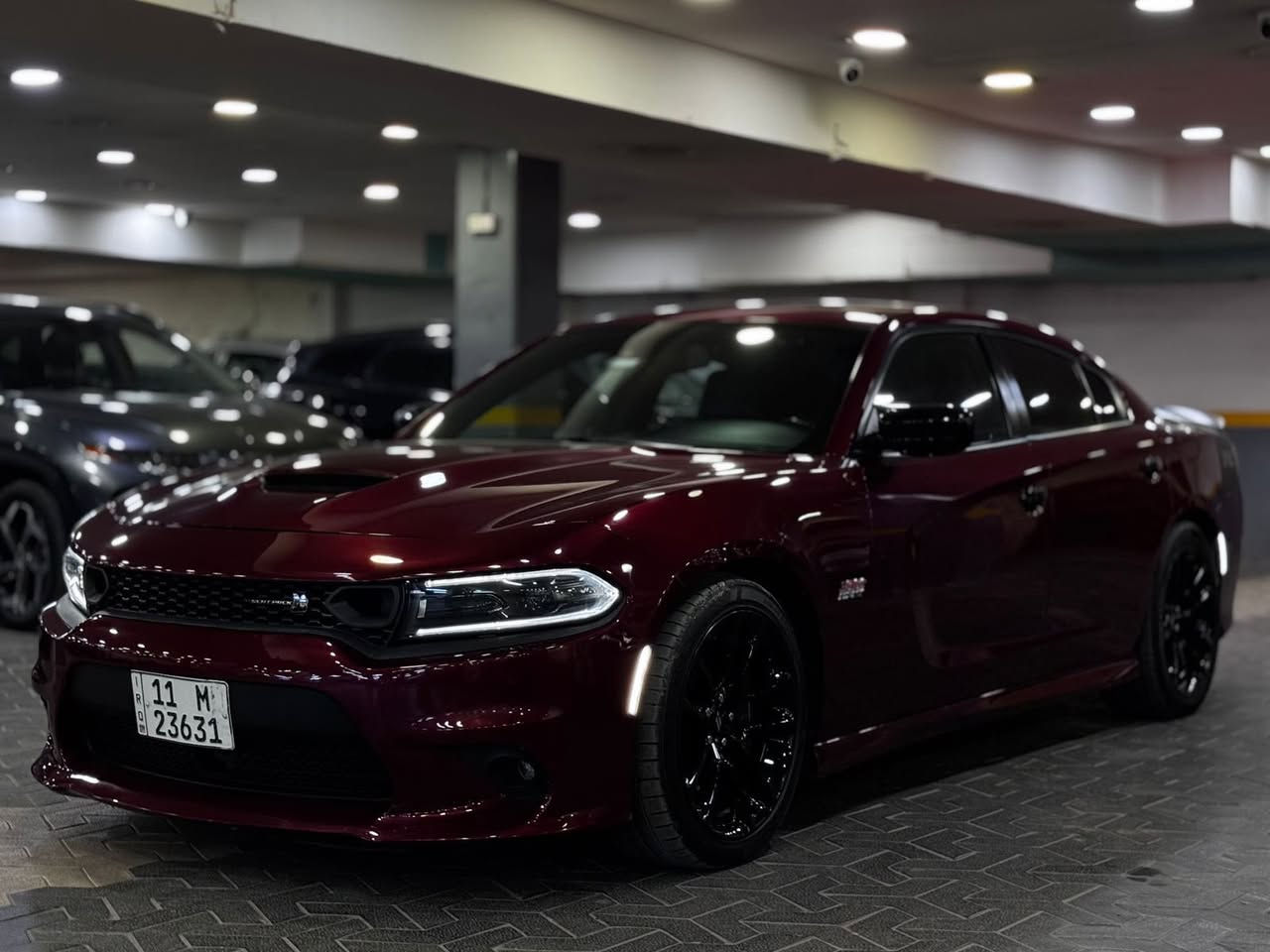 سلام عليكم دوج جارجر سكات باك 2022 خليجي فول مواصفات اعلى شي بيهة فتحة رادار توقف ذاتي خزن ميموري داخل كنتاره احمر تتدفه تبريد مقاعد مري قلاب سقف روز مقاعد كهرباء سستم صوت الباين ستيرن كهرباء كلشي بيهة اعلى فئة ممشه 42 الف كيلو بسمي بغداد سعر 34 الف 
***********
