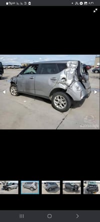 صول • مصبوغة • رقم بغداد