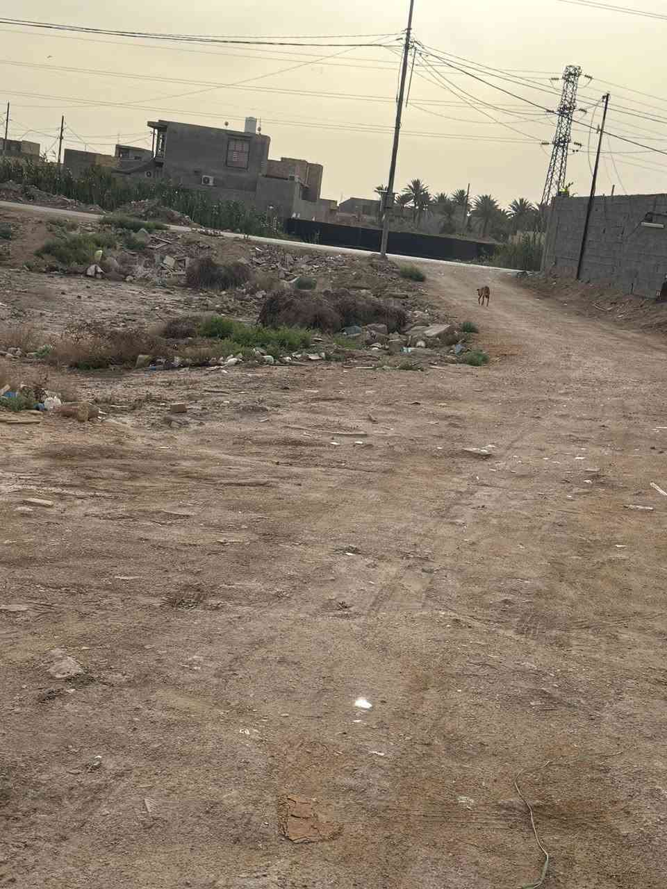 قطعة ارض للبيع مساحه ٦٥٢متر 
طابو زراعي سند٢٥ ثاني قطعة عن شارع الرئيسي 
داخل حي سكني خدمات كامله ماء اساله كهرباء 
ظفيره انتر نيت ضوئي عنوان بابل الحله ورديه سيف 
سعد شارع المشجر ثاني قطعه عن شارع التبليط 
للاستفسار آكثر مراسلة الصفحه أو الاتصال على الأرقام التأليه 

***********
