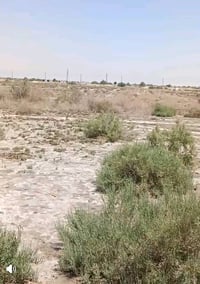 دوانم • نهر الحلو • قرب الفرات