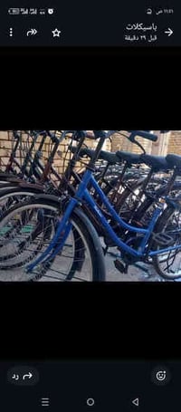 باسكلات • ماركة ياباني • ٢٦