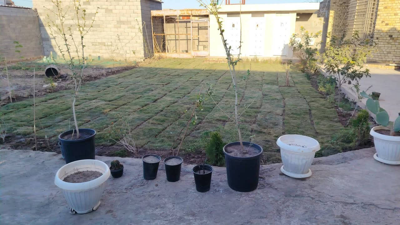 عمل ديكور حديقة او شلالات  حسب الطلب
وتزيين الحديقة وزراعتها بالثيل الطبيعي وشتلات الزينه 
مع اضافة الاسمدة والمبيدات قبل وبعد العمل 
للتواصل 
ذي قار / الرفاعي
***********واتساب
