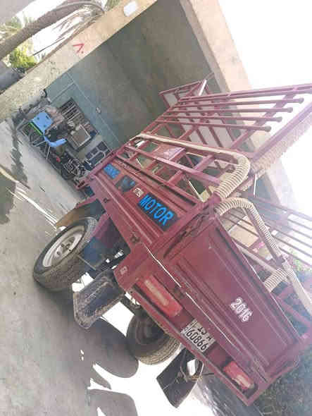 سلام عليكم
سلام عليكم

ستوته موديل 23كيج اكتروني  السعر مليونين 950بيه مجال 

نضافه فول  من الصوره مسجله تحويل ثانية يومه 

الاستفسار اتصال *********** موقع هيت
