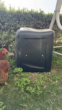 صندوك • نظيف من الداخل • بغداد شارع فلسطين