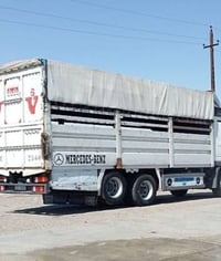 بدي حمدان 07500508893