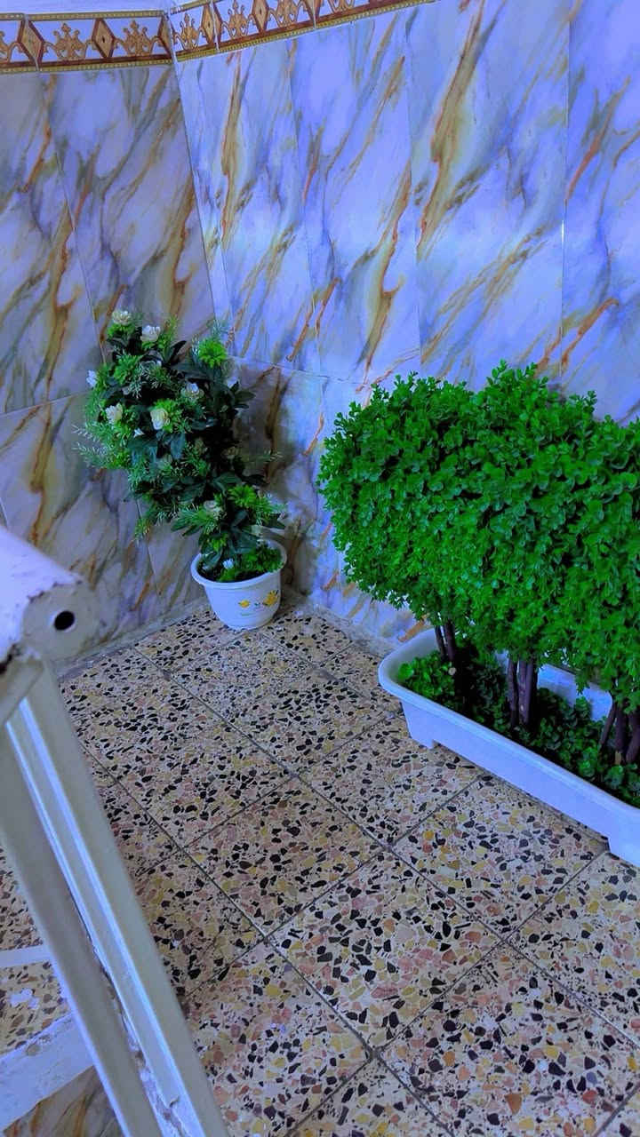 بيت للبيع طابو صرف مساحة 200متر طابق ونص كامل عنوانة شهداء العبيدي الثالثه يتكون من ٢ استقبال و ٤ غرف نوم كاملات مع الديكورات
ومطبخ بارد و حار وكراج للسيارة مع قمرية للسيارة 
سعره ١٨٥ للتواصل خاص مفتوح@


**إذا كنت صاحب هذا الإعلان وتريد حذفه لأي سبب، رجاءا أرسل رسالة إلى الدعم الفني**