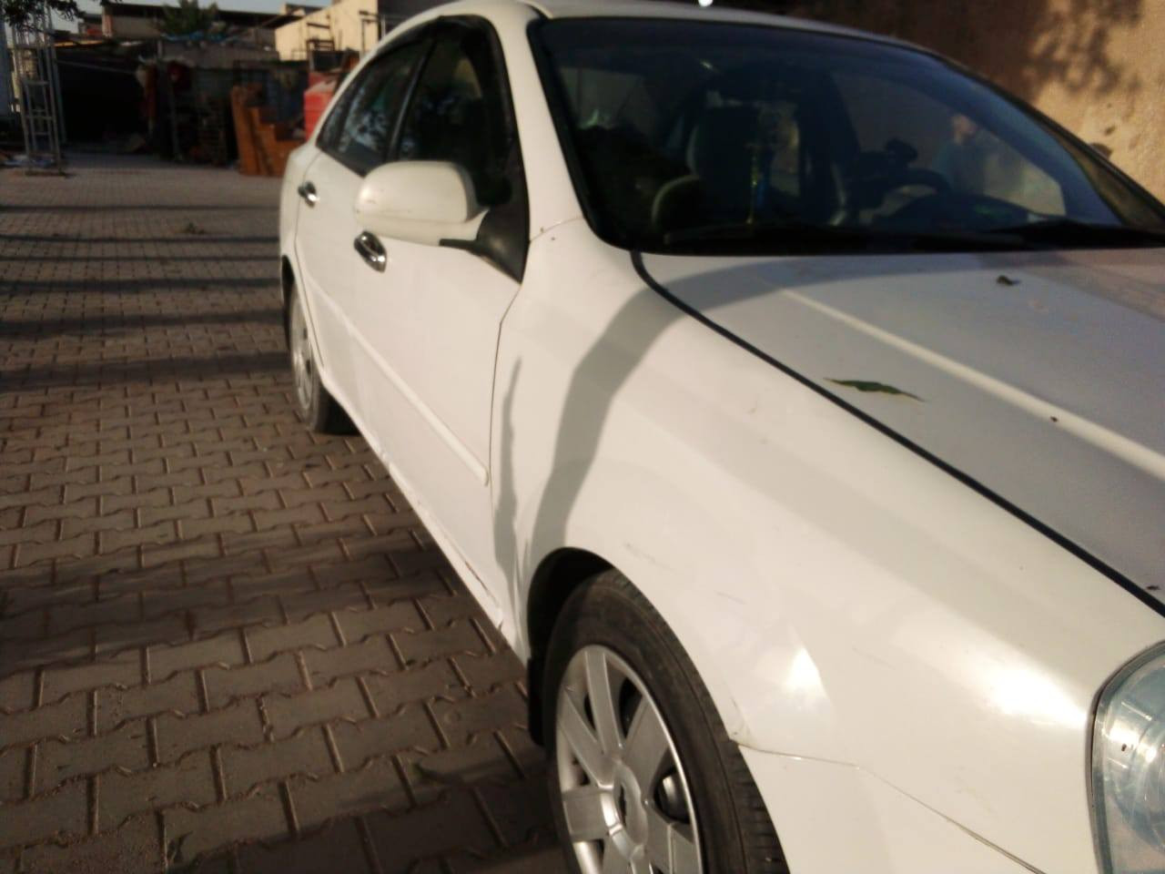 ابوتر للبيع في محافظه النجف السعر 70 الهاتف ***********
