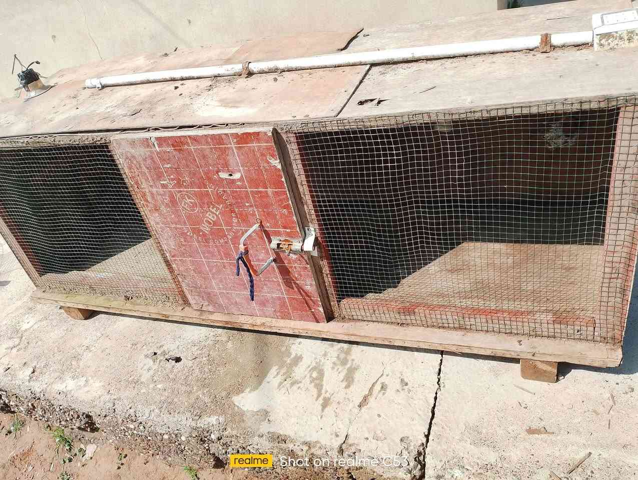 حاضنه مال صواصي طول 170×60
واحد منهم طابقين والثاني طابق واحد مكاني ايسر جلوخان *********** سعرهم130وبيهم مجال
