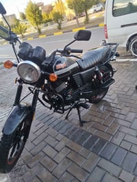 دايوان موديل ٢٤ • بدون أوراق • مشي ٨٠٠٠