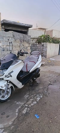 مراوس • موتور • راسلني خاص