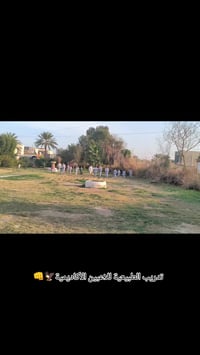 فنون قتالية • تدريب أطفال • شارع عشرين