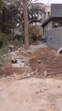 قطعه ارض للبيع مساحه 320م في عكد بني تميم تبعد عن التبليط 75م وعن البارون كيلوين وعن الامام 3 كيلو
***********
