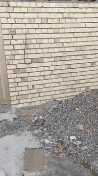 بيت الدوانم • 50م • خدمات كامله