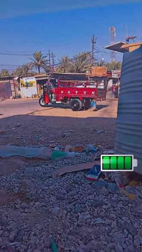 ستوته دايون • معمرة • ورق كامله