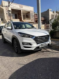 توسان كوري • ٢٠٢٠ • أربيل