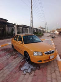 فيرنا • ٢٠١٤ • كربلاء