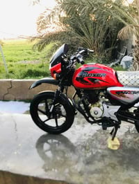 بوكسر • فحل جبلي • ٢٠١٩